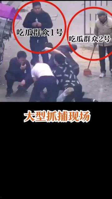 抓捕吃瓜群众视频播放下载,抓捕吃瓜群众视频播放下载背后的故事
