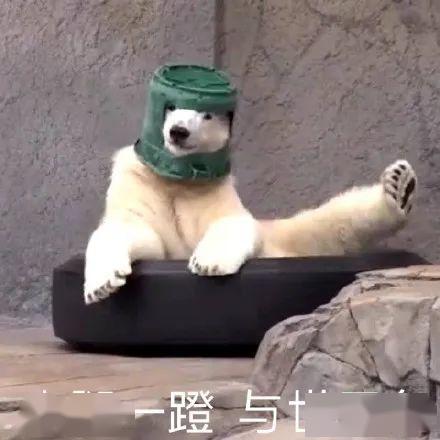 沙雕吃瓜吐槽视频合集,带你领略网络幽默风潮