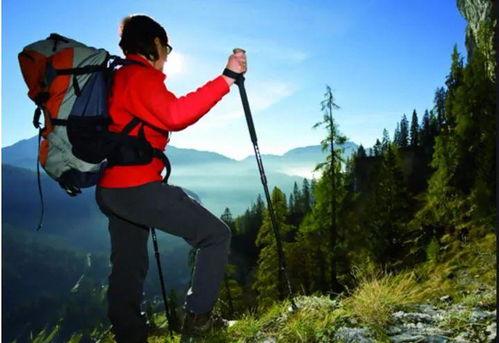 爬山吃瓜女游客视频,爬山吃瓜女游客成网红视频主角