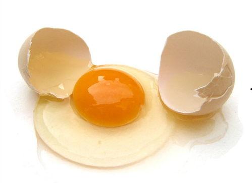 大瓜头吃鸡蛋视频