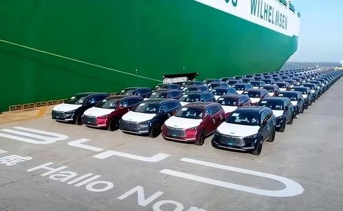 比亚迪吃瓜爆料视频播放,揭秘幕后播放量背后的秘密