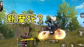 刀塔霸气吃瓜视频,揭秘游戏圈幕后趣闻