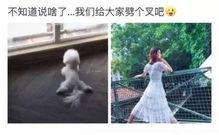 劈叉女星吃瓜视频播放网站,热门网站播放量惊人