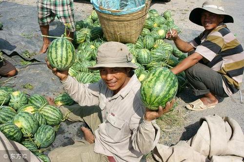 中华大街吃瓜事件视频,一场引发热议的网络视频风波