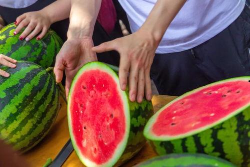 浙江大学吃瓜视频,揭秘校园生活趣味瞬间
