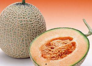 狗崽吃哈密瓜视频,狗崽萌态大赏