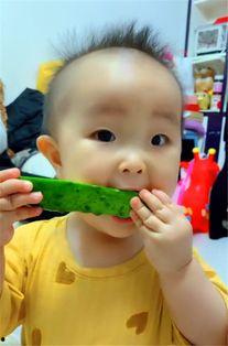 暖宝吃瓜视频全集,揭秘娱乐圈幕后真相