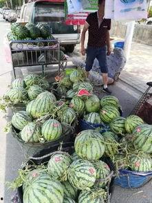 保亭吃瓜事件视频最新,一场网络热议背后的真相揭秘