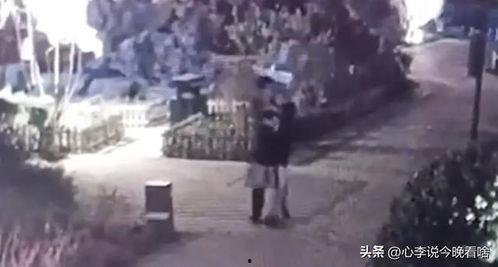 鹤壁事件吃瓜视频完整版,吃瓜视频完整版揭秘真相