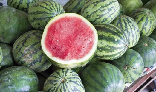 吃瓜视频放不了