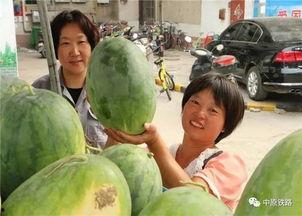 午餐吃瓜的视频,一场别开生面的视频盛宴