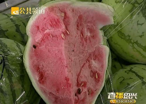 浙江绍兴吃瓜视频,一场视觉与味觉的双重盛宴