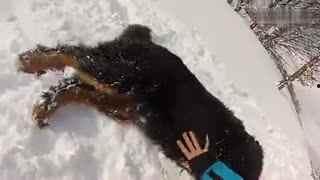 搞笑吃瓜视频短片大全